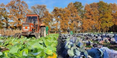Plant en milieu - Arbeidsmarktgerichte finaliteit (duaal en niet-duaal)
